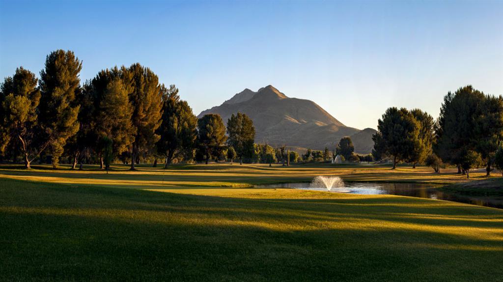 Esplendor Resort At Rio Rico Зручності фото